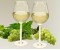 plastic-glazen-witte-wijn-set-van-2-445ml-polycarbonaat_big.jpg
