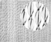deurblad-sara-100_-pvc-60-190cm-zwart-__thb.jpg
