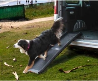 hondenhelling-zora-tot-120kg-materiaal-pp-zwart-__thb.jpg