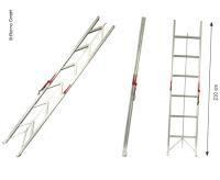 Carbest Opvouwbare ladder tot 150kg belastbaar met 6 treden - Advitek A.M.S.