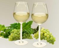 plastic-glazen-witte-wijn-set-van-2-445ml-polycarbonaat_thb.jpg